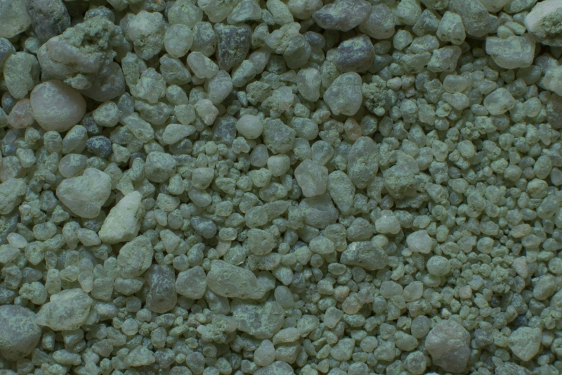 Nederland, Groningen, Sellingerbeetse