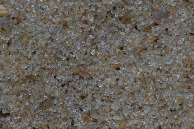 Nederland, Noord-Holland, Sint Maartenszee