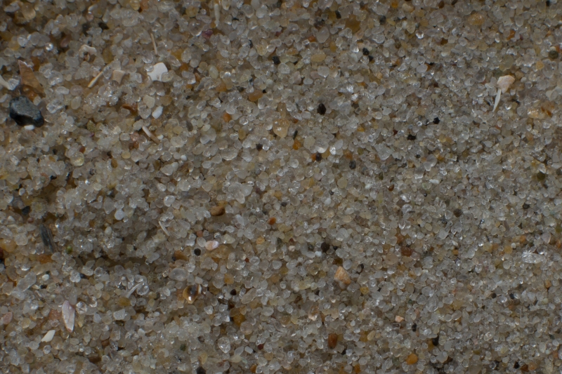 Nederland, Noord-Holland, Texel