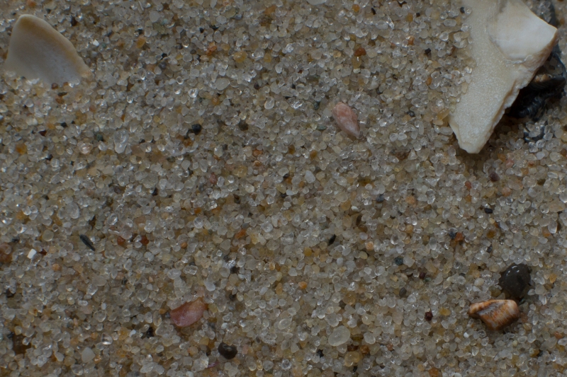 Nederland, Noord-Holland, Texel, De Koog