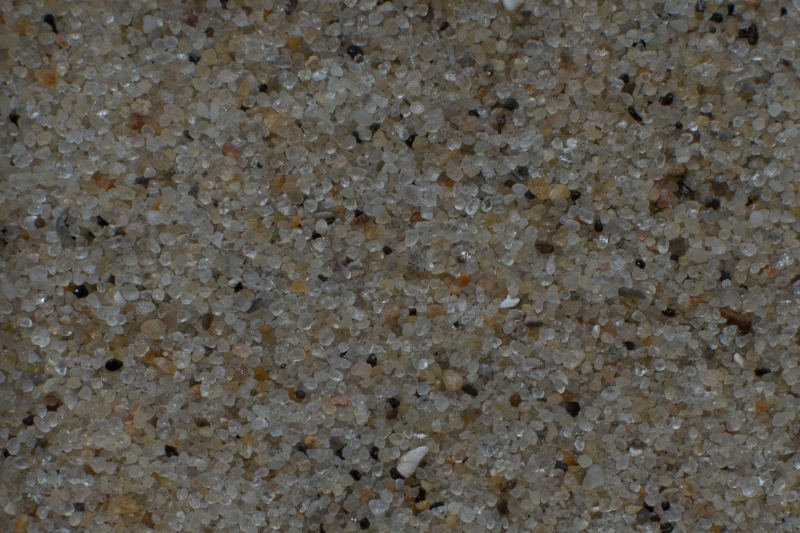 Nederland, Zeeland, Walcheren, Vrouwenpolder