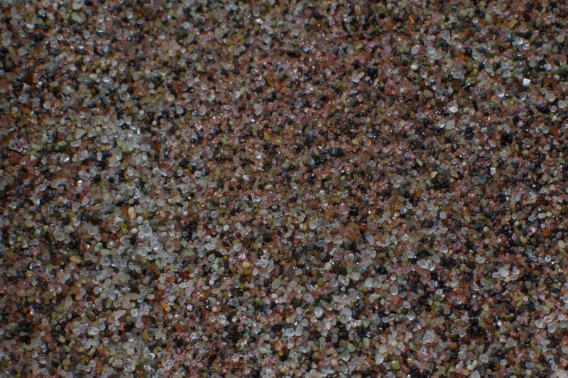 Nederland, Noord-Holland, Texel, De Koog