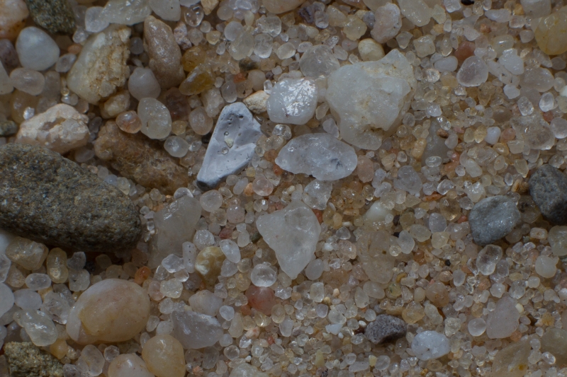 Nederland, Utrecht, Leusden, Leusderheide