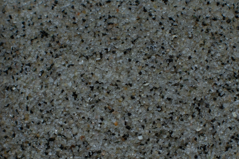 Nederland, Zeeland, Borssele, De Kaloot