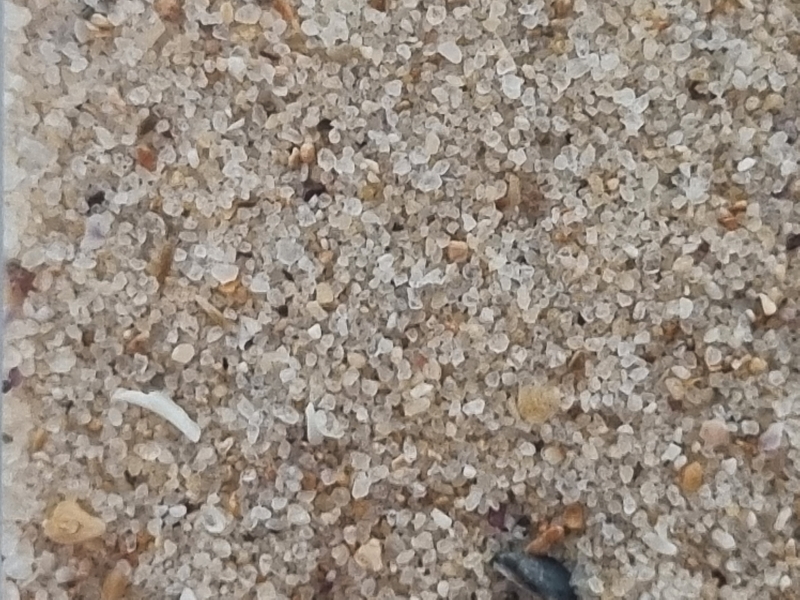 Australi, Sidney, Manly Beach