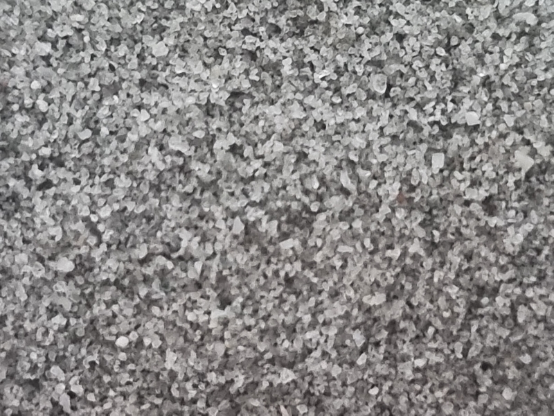 Canada, Nova Scotia, Taylor Head, Marine Drive