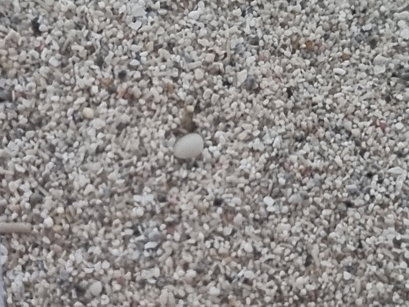 Cuba, Provincie Matanzas,  Gemeente Crdenas, Varadero