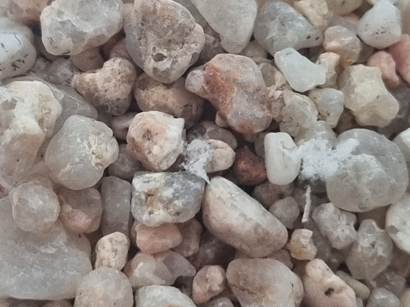 Spanje,  Provincie Girona,  regio Cataloni,  streek Costa Brava, Gemeente Lloret de Mar, Lloret de Mar, strand