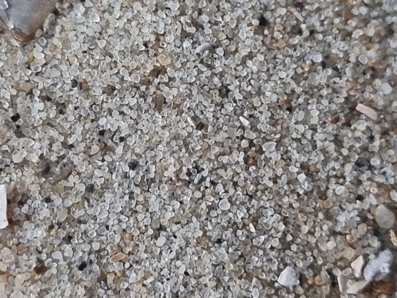 Belgi,
Provincie West Vlaanderen, 
Gemeente Knokke-Heist,
Het Zwin