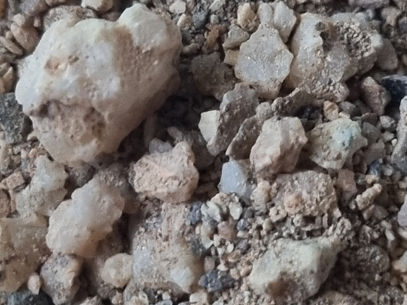 Chili, Parque Nacional Pan de Azcar - I