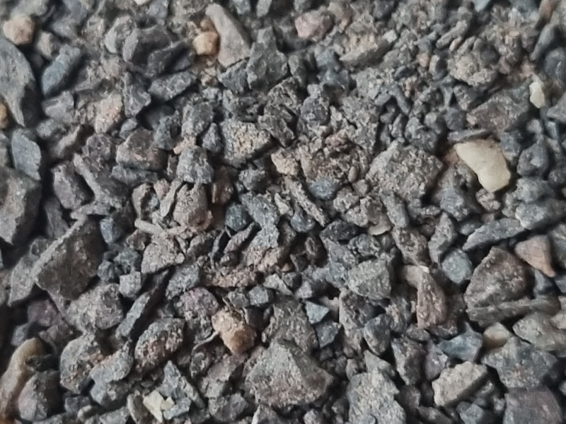 Chili, Parque Nacional Pan de Azcar - II