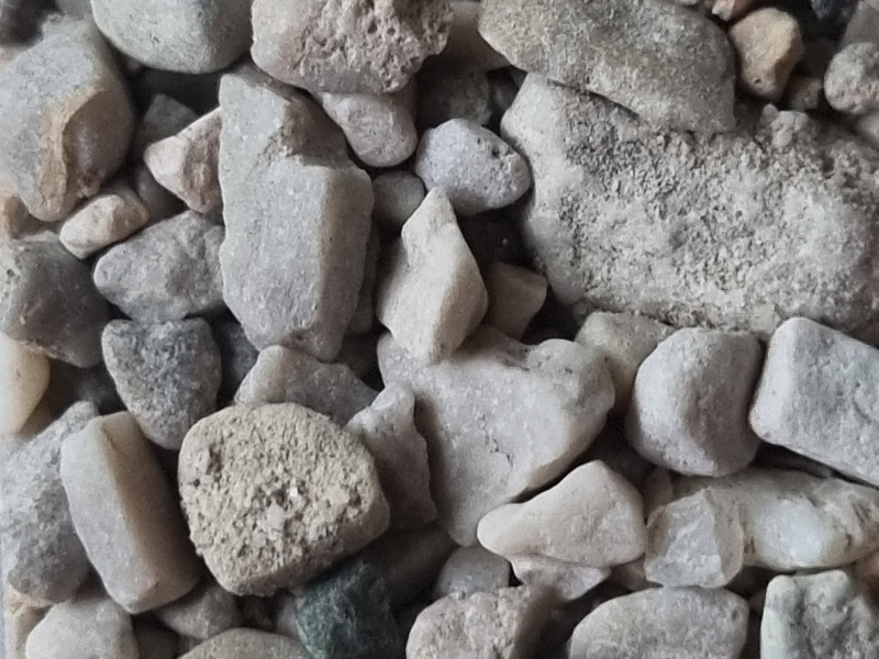 Sloveni,
Regio Gorenjska, 
Gemeente Bohinj,
Oever van Bohinj meer