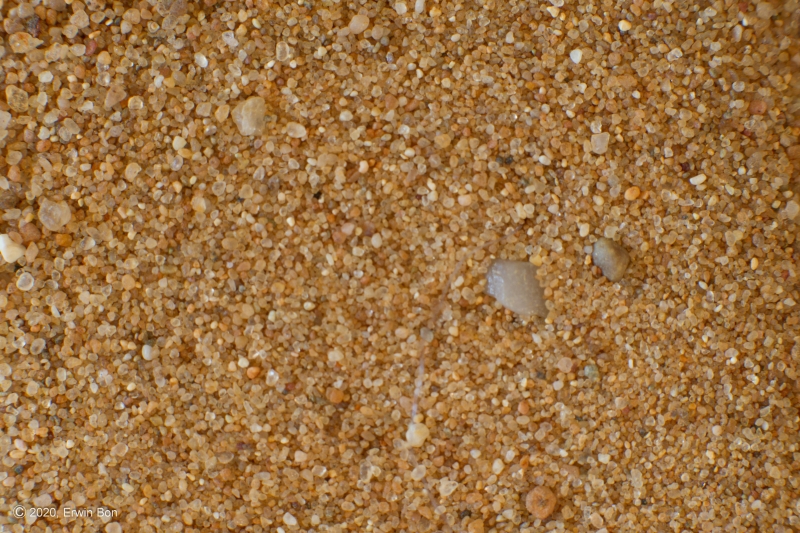 Nederland, Gelderland, Ede