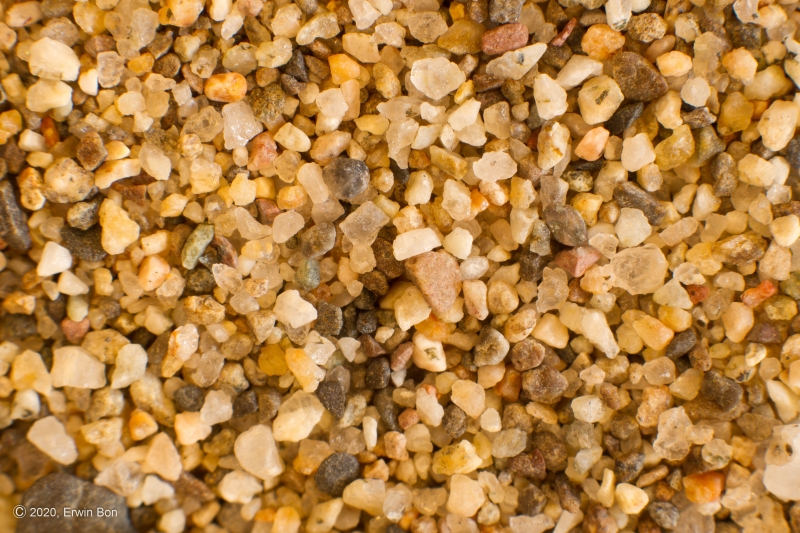 Canada, 
Provincie Brits-Columbia, 
Oganagan Lake