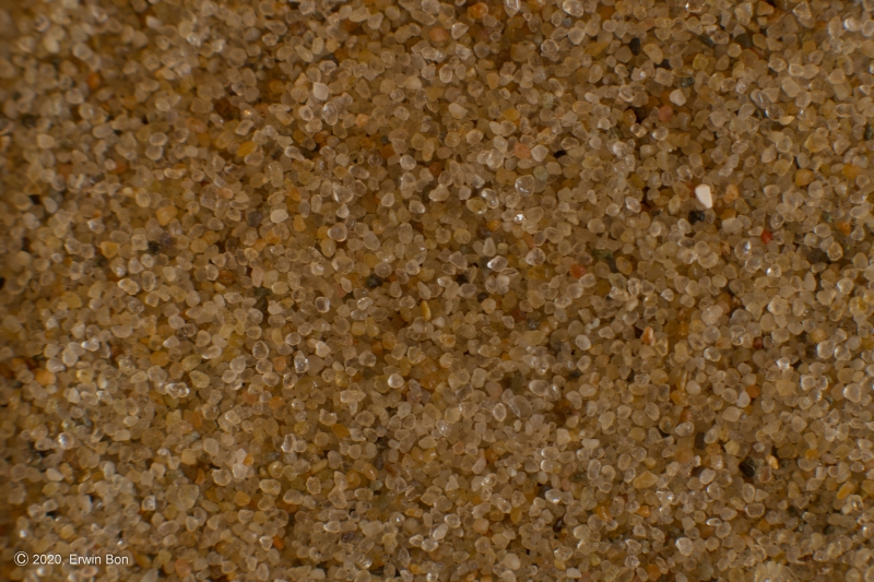 Nederland, Noord-Holland, Texel, Den Hoorn