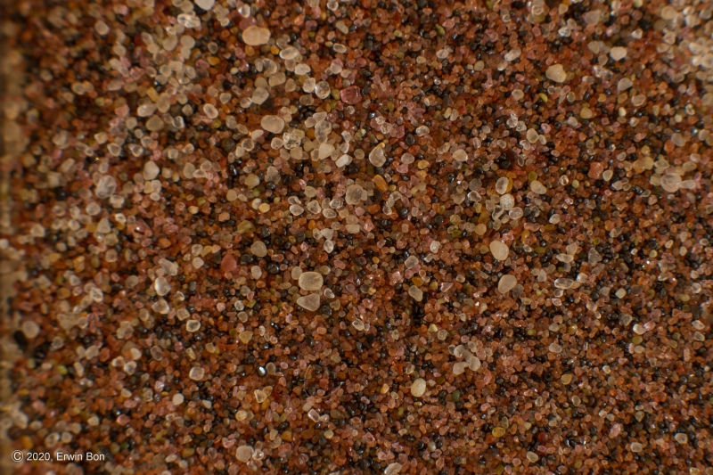 Nederland, Noord-Holland, Bergen aan Zee