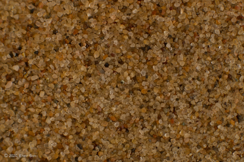 Nederland, Zuid-Holland, Noordwijk