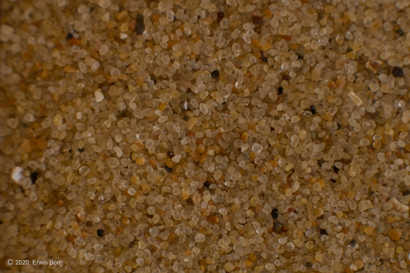 Nederland, Zeeland, Walcheren, Vlissingen