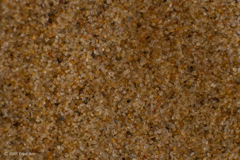 Nederland, Noord-Holland, Bergen aan Zee